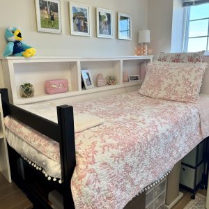 Dorm Wise Cubby One Semester