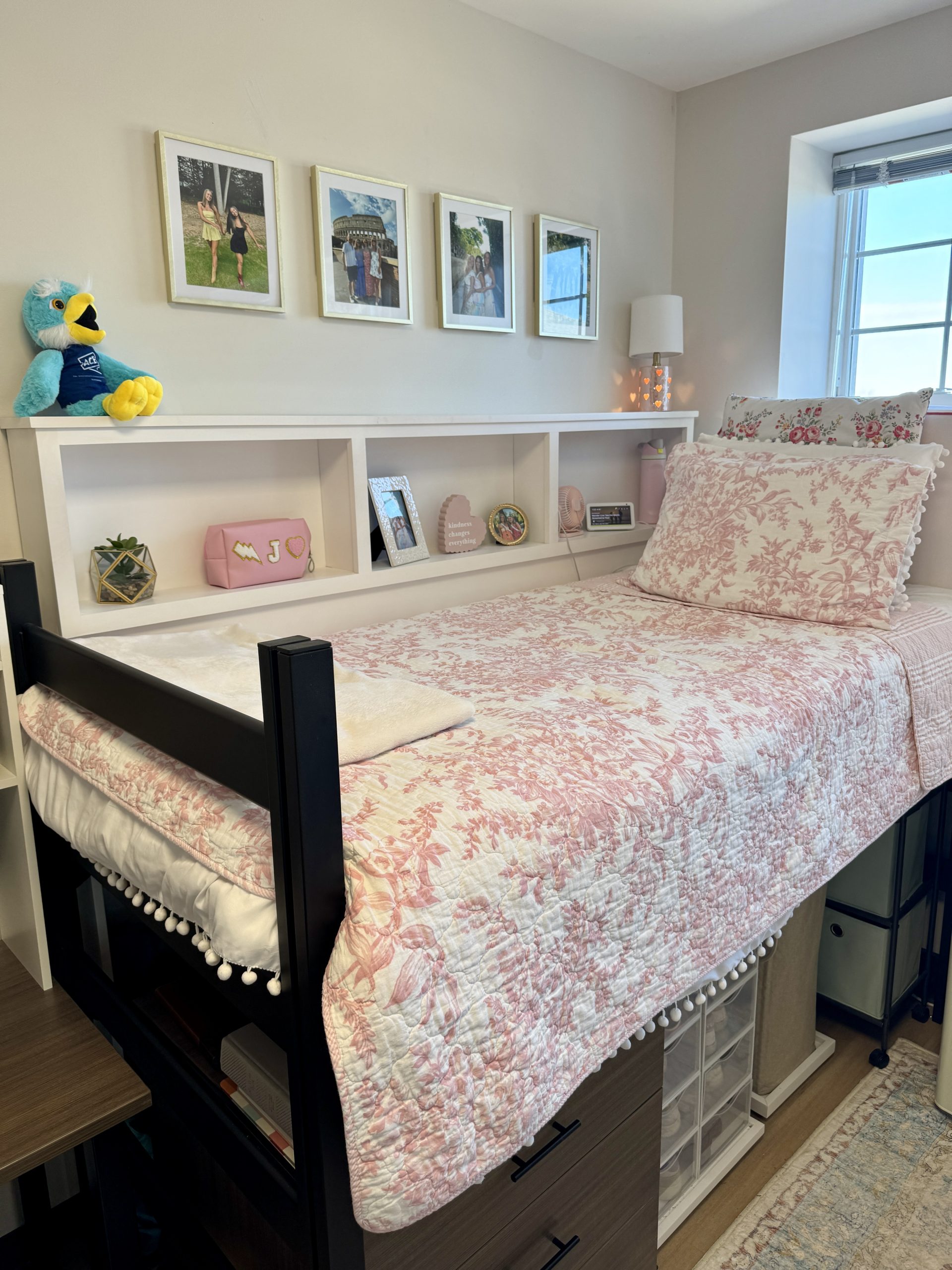 Dorm Wise Cubby One Semester